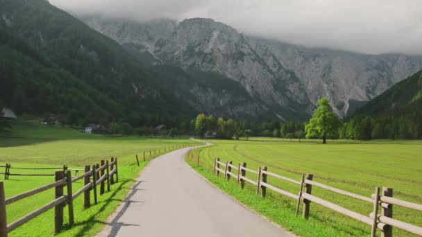 Ідилічна Сцена Сільською Дорогою Альпійському Ландшафті Долини Логар Величним Гірським — стокове відео