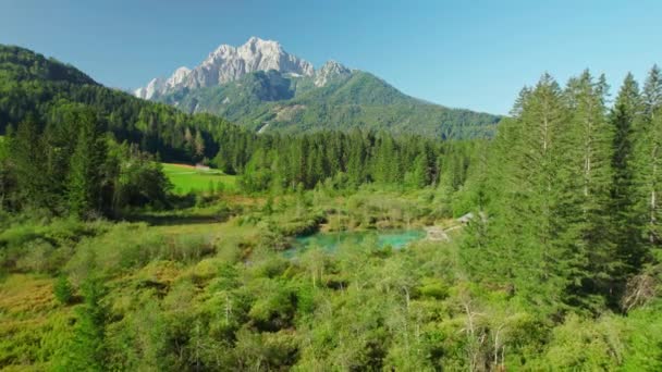 Zelenci Springs Con Los Alpes Julianos Fondo Durante Verano Eslovenia — Vídeo de stock