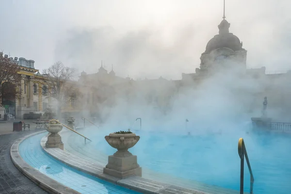Szechenyi Baths Budapest Winter Hungary Historic Hungarian Thermal Baths Europe Stockbild