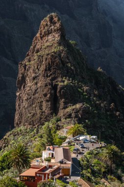 Tenerife 'deki Masca Vadisi' nin manzarası, Kanarya Adası, İspanya. Tenerife 'de palmiye ağaçları ve tropikal bitki örtüsü olan manzaralı bir dağ manzarası. Masca köyünde ünlü volkanik kaya oluşumu