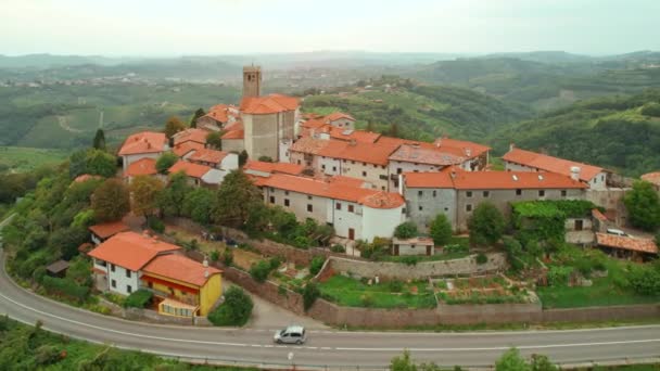斯洛文尼亚Goriska Brda农村地区的Smartno镇风景和葡萄园 斯莫诺老城的空中景观 无人轨道中弹 — 图库视频影像