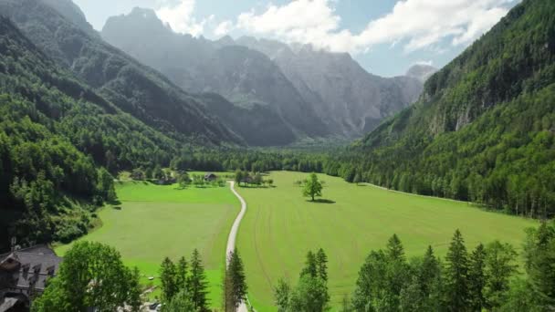 アルプスの山々 緑の牧草地 夏の木々での道路の空中ビュー ローガスカルドリーナの農村道路のトップビュー ロガール渓谷 スロベニアの美しいアルプス風景 — ストック動画