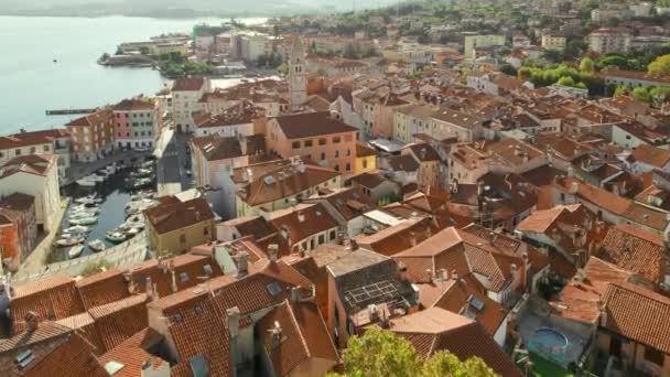 Aerial View Muggia Old Town Main Square Cathedral Muggia Castle — Stock Video