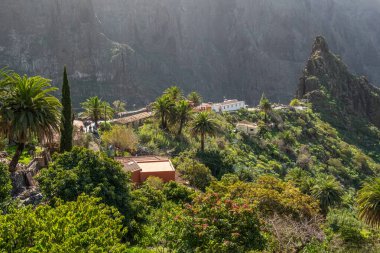 Tenerife 'deki Masca Vadisi' nin manzarası, Kanarya Adası, İspanya. Tenerife 'de palmiye ağaçları ve tropikal bitki örtüsü olan manzaralı bir dağ manzarası. Masca köyünde ünlü volkanik kaya oluşumu