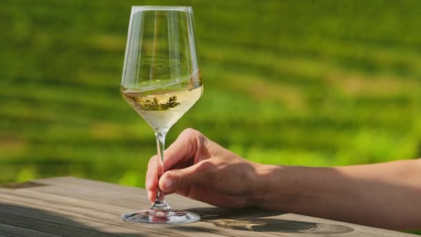 テーブルからグラスでワインを飲む手のクローズアップ 背景に緑のブドウ畑でそれを泳ぎます ワインのテイスティング 味付け — ストック動画