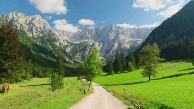 Arkasında Kamnik-Savinja Alpleri olan Idyllic yeşil vadisi. Slovenya 'nın Zgornje Jezersko kentindeki Ravenska Kocna Vadisi' nin yaz Alp manzarası. Sabit görüntü