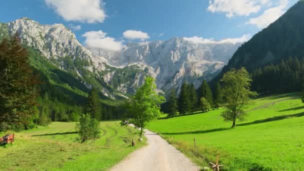 Vale Verde Idílico Com Alpes Kamnik Savinja Fundo Verão Paisagem — Vídeo de Stock