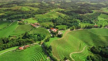 Slovenya 'nın Kudüs şaraphane bölgesindeki görkemli üzüm bağlarının arasına yerleştirilmiş Hüzünlü Anne Kilisesi' nin büyüleyici bir sahnesi. Hava aracı görünümü