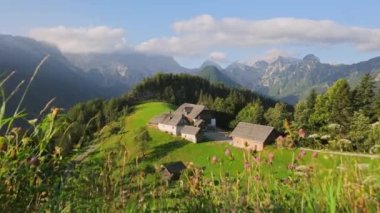 Renkli kır çiçekleriyle güzel bir dağ manzarası, arka planda Slovenya kır evleri ve dağlar, Logarska Dolina, Slovenya, Avrupa. Slovenya 'nın Kamnik Alplerindeki Logar Vadisi