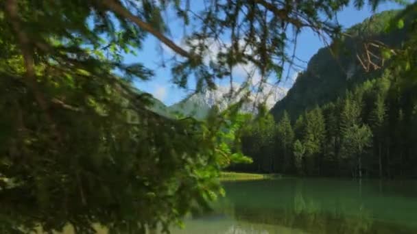 Bergmeerpier Een Zonnige Zomerdag Aan Een Plansarsko Jezero Meer Kamnik — Stockvideo