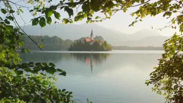 Lac Bled Slovénie Vue Été Beau Lac Avec Une Église — Video