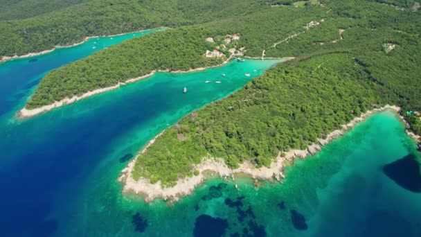 在克罗地亚达尔马提亚地区的美丽的拉布岛海岸 有着田园诗般的绿松石海水湾的空中景观 帆船停泊在有野生海滩的沿海海湾中 无人机俯瞰画面 — 图库视频影像