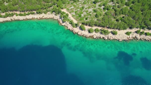 在克罗地亚达尔马提亚地区的Rab岛上 用绿松石海水俯瞰令人惊叹的亚得里亚海海岸的空中景观 小船平静地停泊在美丽的海湾里 Idyllic旅游目的地 — 图库视频影像