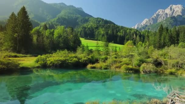 Зеленці Спрінгс Юліанськими Альпами Фоні Літа Словенії Повільна Панорама Озер — стокове відео
