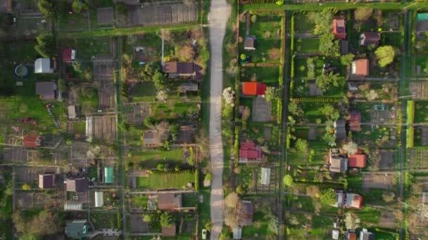 Letecký Pohled Shora Dolů Tradiční Zahrady Dzialki Městské Oblasti Polsku — Stock video