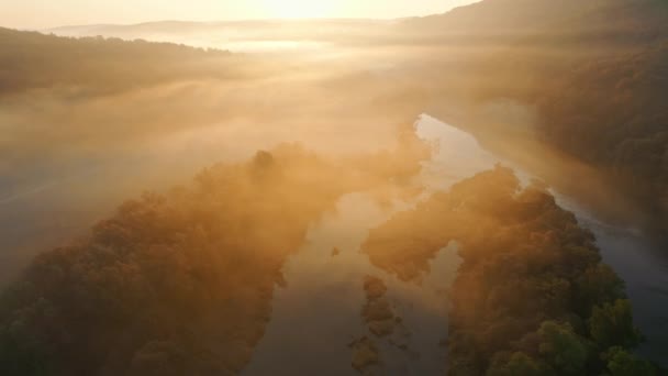 Повітряний Безпілотний Вид Схід Сонця Над Туманною Річкою Створюючи Безтурботний — стокове відео