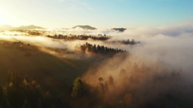 Sonbaharda gün doğumunda sabah sisinde dağlar. Sis içinde ladin ağacı olan bir dağ silsilesinin havadan görünüşü. Şehir yolu, orman, sis ve sabah ışığı olan güzel kırsal alan.