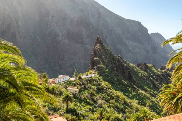 Tenerife 'deki Masca Vadisi manzarası, Kanarya Adaları, İspanya. Palmiye ağaçları ve tropik bitki örtüsüyle süslenmiş manzaralı dağ manzarası. Yavaş çekim, sabit çekim.