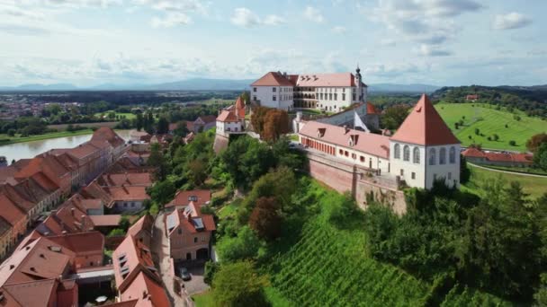 Αεροφωτογραφία Της Παλιάς Πόλης Του Ptuj Καλοκαίρι Κάστρο Grad Ptuj — Αρχείο Βίντεο