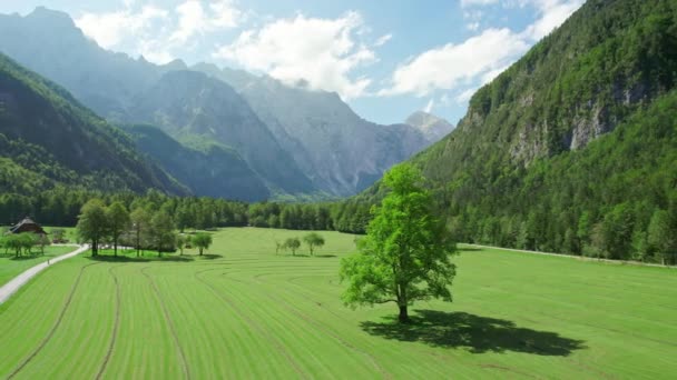 Bela Paisagem Alpina Vale Logar Eslovênia Vista Aérea Dolina Logarska — Vídeo de Stock