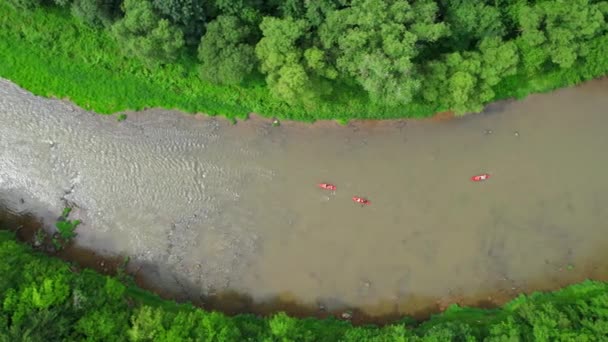 Kayakers Sungai Yang Cepat Hutan Hijau Yang Subur Sekelompok Kayak — Stok Video