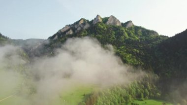 Yazın Pieniny, Polonya 'daki Trzy Korony Dağı' nın hava manzarası. Slovakya 'da sabah sisi ve dağ nehri ile üç Crown manzarası - Polonya sınırı