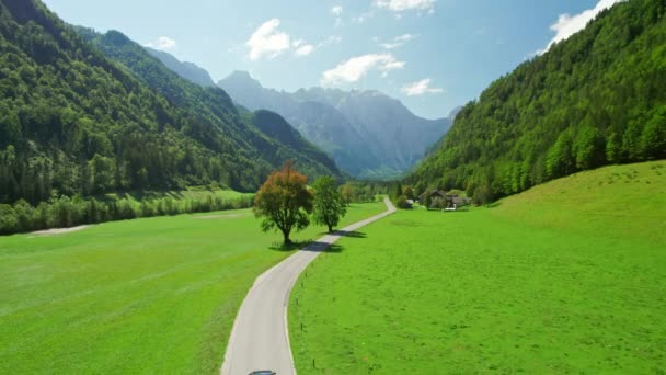 アルプスの山々 緑の牧草地 夏の木々での道路の空中ビュー 田舎道のトップビュー スロベニアのローガル渓谷の美しいアルペンスキーの美しい景色の田舎の道路上の車とカラフルな風景 — ストック動画