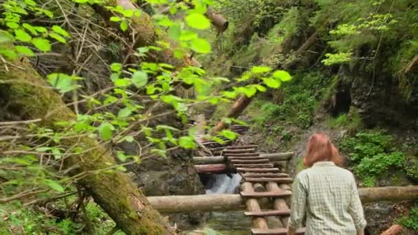 Parc National Slovaque Paradise Slovaquie Randonneur Explore Célèbre Gorge Sucha — Video