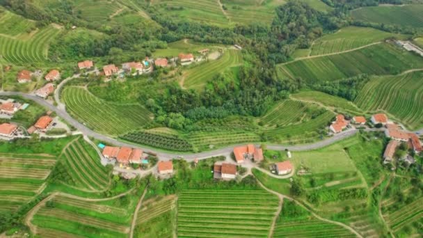 Widok Lotu Ptaka Piękne Winnice Regionie Brda Słoweńskich Winnic Niekończące — Wideo stockowe