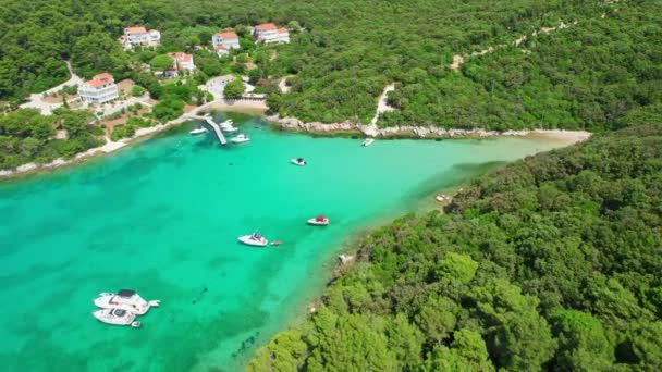 Αεροφωτογραφία Της Εκπληκτικής Αδριατικής Ακτής Γαλαζοπράσινα Νερά Στη Νήσο Ραμπ — Αρχείο Βίντεο
