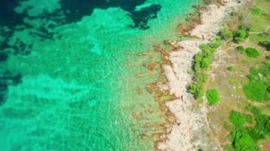 Hırvatistan 'ın Dalmaçya bölgesindeki Rab adasındaki turkuaz deniz suyuyla çarpıcı Adriyatik kıyılarının hava manzarası. Kristal berrak suyla güzel deniz koyunun yukarıdan aşağı manzarası. 