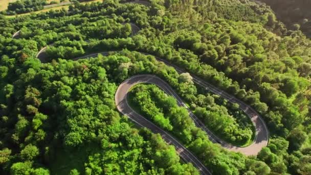Αεροφωτογραφία Ενός Ελικοειδούς Ορεινού Δρόμου Που Διασχίζει Ένα Καταπράσινο Δάσος — Αρχείο Βίντεο