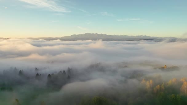 Πετώντας Πάνω Από Την Πρωινή Ομίχλη Προς Επιβλητικά Βουνά Tatry — Αρχείο Βίντεο