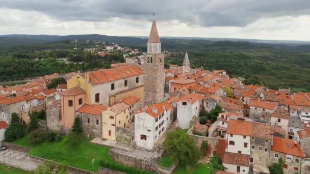 Flygfoto Över Den Pittoreska Historiska Staden Buje Istrien Kroatien Medeltida — Stockvideo