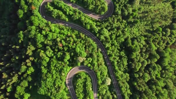 Αεροφωτογραφία Ενός Ελικοειδούς Ορεινού Δρόμου Που Διασχίζει Ένα Καταπράσινο Δάσος — Αρχείο Βίντεο