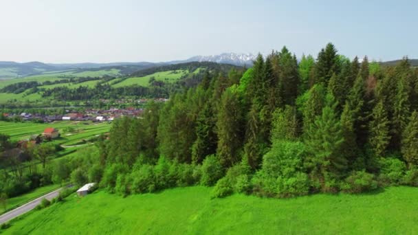 Letecký Pohled Polskou Krajinu Letní Sezóně Tatrskými Horami Pozadí Polsku — Stock video