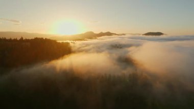 Sabah sisli dağlarda gün doğumunda. Karmaşık ağaçlarla kaplı bir ormanın sisle kaplı olduğu dağ sırasının havadan görünüşü. Şehir yolu, orman, sis ve sabah ışığı olan güzel kırsal alan..