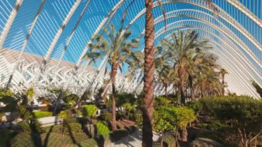 Valencia, İspanya 'daki ünlü Sanat ve Bilim Şehri' nin Lumbracle bahçesinin en iyi manzarası. Valencia 'da palmiye ağaçları olan tropik bir bahçe.