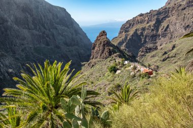 Tenerife 'deki Masca Vadisi manzarası, Kanarya Adaları, İspanya. Palmiye ağaçları ve tropik bitki örtüsüyle süslenmiş manzaralı dağ manzarası. Yavaş çekim, sabit çekim.
