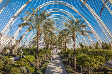 Valencia, İspanya - 9 Nisan 2024: Valencia, İspanya 'daki ünlü sanat ve bilim şehrinin Lumbracle bahçesinin üst manzarası. Valencia 'da palmiye ağaçları olan tropik bir bahçe.