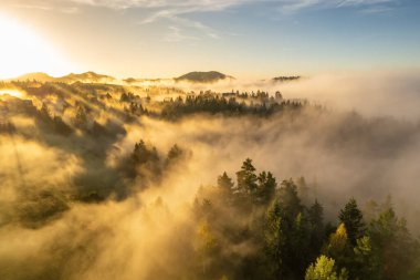 Altın saat boyunca sabah sisinde gizlenmiş bir dağ manzarasının havadan görüntüsü. Parlayan bir sis ve gün doğumunda yumuşak bir sabah ışığı olan güzel kırsal alan.