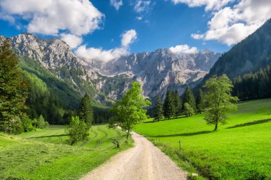 Arkasında Kamnik-Savinja Alpleri olan Idyllic yeşil vadisi. Slovenya 'nın Zgornje Jezersko kentindeki Ravenska Kocna Vadisi' nin yaz Alp manzarası. Güzel Sloven seyahat yeri. Hava görünümü