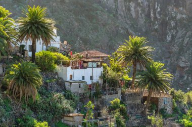 Tenerife 'deki Masca Vadisi' nin manzarası, Kanarya Adası, İspanya. Tenerife 'de palmiye ağaçları ve tropikal bitki örtüsü olan manzaralı bir dağ manzarası. Masca köyünde ünlü volkanik kaya oluşumu