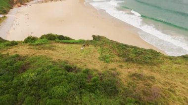 Kuzey İspanya, Asturias 'taki güzel Playa de Andrin ve Playa de Balota plajları. Kuzey İspanya 'da yaz boyunca Atlantik Okyanusu kıyısındaki el değmemiş kumlu plajların havadan görünüşü. 