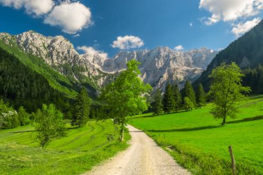 Arkasında Kamnik-Savinja Alpleri olan Idyllic yeşil vadisi. Slovenya 'nın Zgornje Jezersko kentindeki Ravenska Kocna Vadisi' nin yaz Alp manzarası. Güzel Sloven seyahat yeri. Hava görünümü