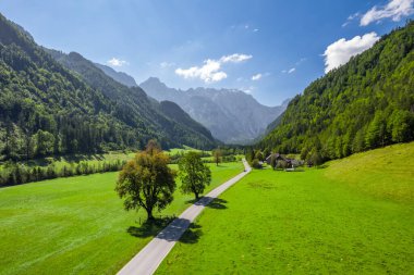 Aerial view of road in alpine mountains, green meadows, trees in summer. Top view of rural road in Logarska dolina. Beautiful alpine scenery of Logar valley, Slovenia clipart