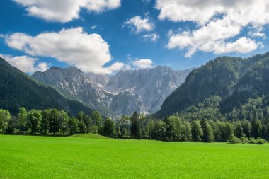 Arkasında Kamnik-Savinja Alpleri olan Idyllic yeşil vadisi. Slovenya 'nın Zgornje Jezersko kentindeki Ravenska Kocna Vadisi' nin yaz Alp manzarası.