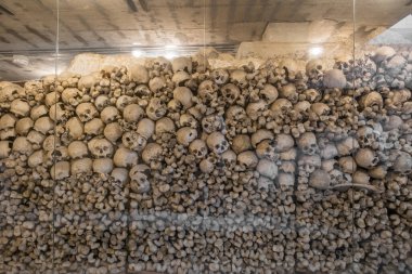Slovenya 'nın Kranj kentindeki Ossuary' de kafatasları sergileniyor. Yerin altındaki eski kostnica 'da insan kafatasları