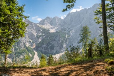 Slovenya 'nın Zgornje Jezersko kentindeki muhteşem Kamnik-Savinja Alpleri. Bereketli ormanlarda ve çarpıcı dağ manzaralarında manzaralı yürüyüş patikaları.
