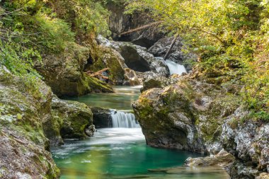 Slovenya 'nın Soteska Vintgar kentindeki sakin bir ormanda çağlayan şelalesi. Julian Alpleri 'ndeki Vintgar Vadisi. Bled Gorge olarak da bilinir. Çarpıcı doğa manzarası.